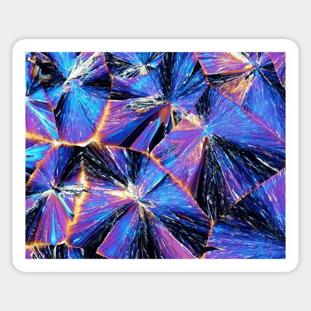 Tartaric acid crystals, light micrograph (C009/5982) Sticker by SciencePhoto